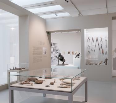 Vue d'une salle de l'exposition Germaine Richier, montrant des sculptures d'animaux marins sur une table sous socle en verre et des outils de mesure dans une vitrine.