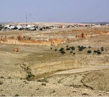 Vue du site archéologique d'Haïdra (Tunisie) : ruines romaines dans un paysage désertique
