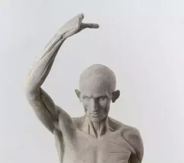 Sculpture en plâtre montrant un homme littéralement écorché : sans sa peau. On voit donc les muscles et les tendons.