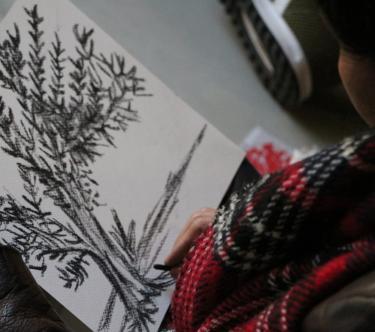 Plan rapproché sur un carnet à dessin tenu par une femme, sur lequel on foit un arbre dessiné au crayon noir