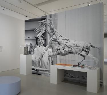 Vue d'une salle de l'exposition Germaine Richier à Montpellier, montrant un banc à l'avant-plan, deux vitrines avec diverses photos et dans le fond, deux murs ; sur celui de gauche, un long texte explicatif ; sur celui de droite, une photo de Germaine Richier tenant sa sculpture "Cheval à six têtes".